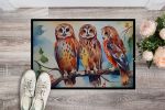 Owls Doormat Front Door Mat Indoor Outdoor Rugs for Entryway, Non Slip Washable Low Pile, 24H X 36W